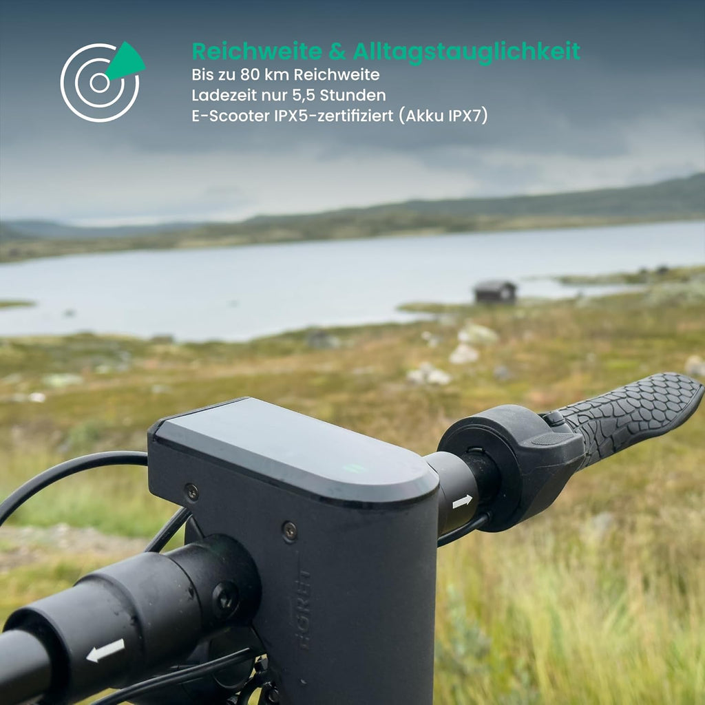 Egret Pro FX E-Scooter mit Straßenzulassung (max. 20 km/h), Reichweite bis 80km, Frontfederung, App Steuerung, Lenker höhenverstellbar+einfaltbar, Zuladung max. 120kg